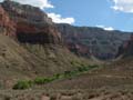 Grand Canyon - Indian Gardens